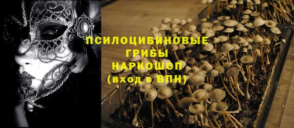ГАЛЛЮЦИНОГЕННЫЕ ГРИБЫ Нефтегорск