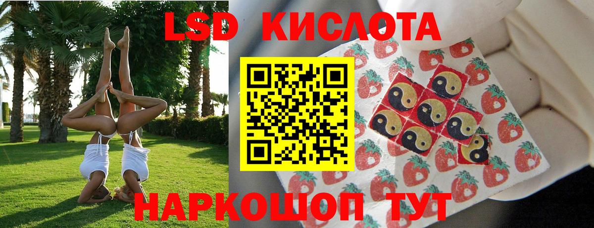 Бошки Шишки Воронеж