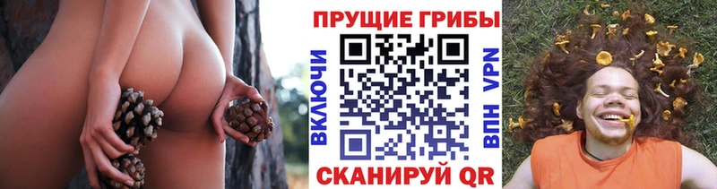 blacksprut сайт  Воронеж  Псилоцибиновые грибы GOLDEN TEACHER 