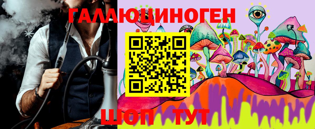 Псилоцибиновые грибы Psilocybine cubensis Воронеж